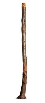 Heartland Didgeridoo (HD574)